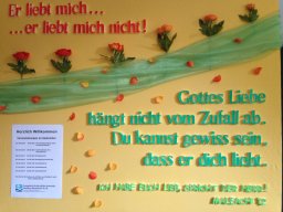 2017_1_20220502_1133369523