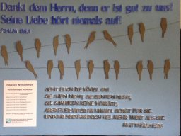 2017_2_20220502_1077187441