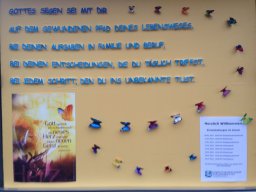 2017_5_20220502_1491540244