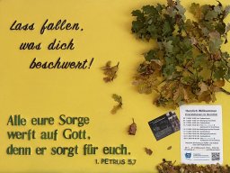 2411_1_20241109_1407266433